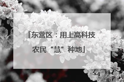东营区：用上高科技 农民“慧”种地