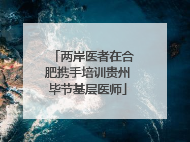 两岸医者在合肥携手培训贵州毕节基层医师