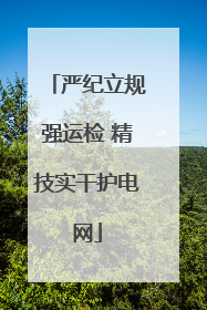 严纪立规强运检 精技实干护电网