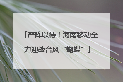 严阵以待！海南移动全力迎战台风“蝴蝶”