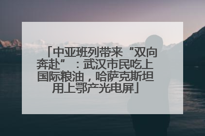 中亚班列带来“双向奔赴”：武汉市民吃上国际粮油，哈萨克斯坦用上鄂产光电屏