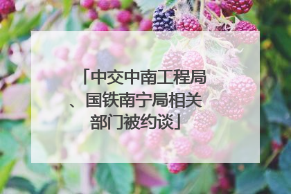 中交中南工程局、国铁南宁局相关部门被约谈