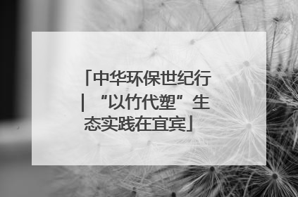 中华环保世纪行｜“以竹代塑”生态实践在宜宾