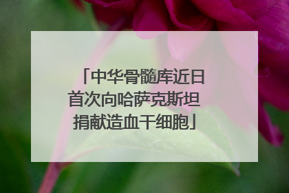 中华骨髓库近日首次向哈萨克斯坦捐献造血干细胞