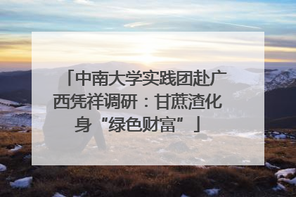中南大学实践团赴广西凭祥调研：甘蔗渣化身“绿色财富”