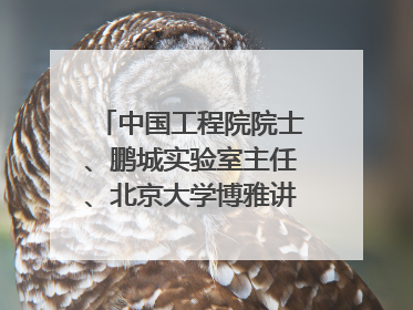 中国工程院院士、鹏城实验室主任、北京大学博雅讲席教授高文：“以人为本 智能向善” 推动文化与科技相生相促｜聚焦2025文化强国建设高峰论坛