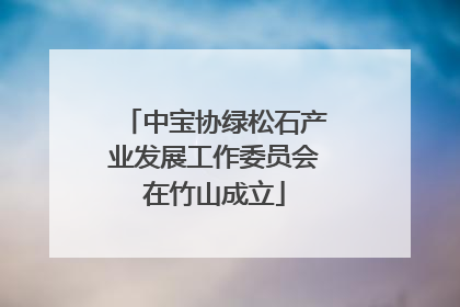 中宝协绿松石产业发展工作委员会在竹山成立