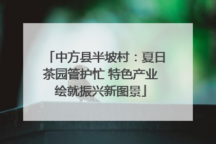 中方县半坡村：夏日茶园管护忙 特色产业绘就振兴新图景