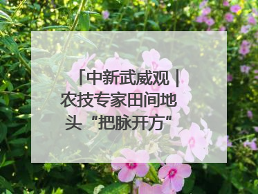 中新武威观｜农技专家田间地头“把脉开方”送“及时雨”