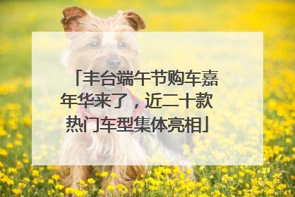 丰台端午节购车嘉年华来了，近二十款热门车型集体亮相