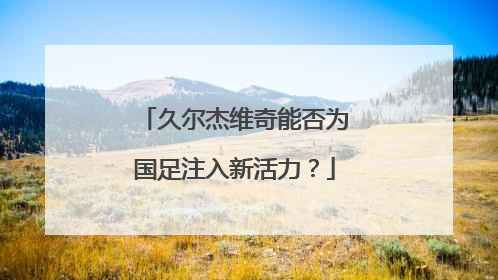 久尔杰维奇能否为国足注入新活力？