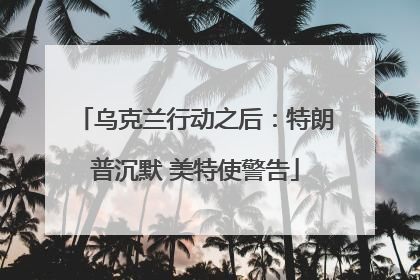 乌克兰行动之后：特朗普沉默 美特使警告