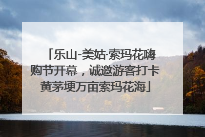 乐山-美姑·索玛花嗨购节开幕，诚邀游客打卡黄茅埂万亩索玛花海