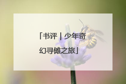 书评｜少年奇幻寻傩之旅