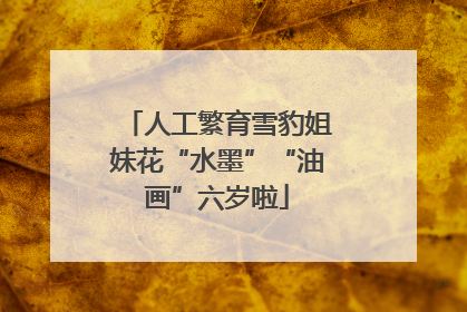 人工繁育雪豹姐妹花“水墨”“油画”六岁啦
