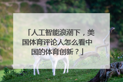 人工智能浪潮下，美国体育评论人怎么看中国的体育创新？