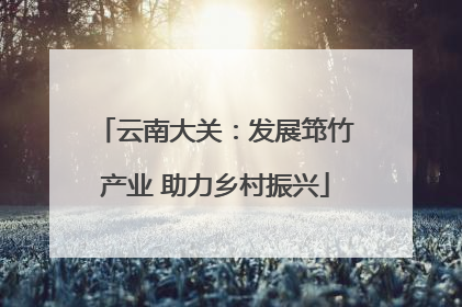 云南大关：发展筇竹产业 助力乡村振兴