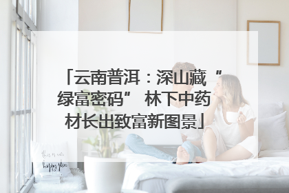 云南普洱：深山藏“绿富密码” 林下中药材长出致富新图景