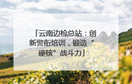 云南边检总站：创新警衔培训，锻造“硬核”战斗力