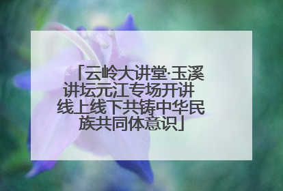 云岭大讲堂·玉溪讲坛元江专场开讲 线上线下共铸中华民族共同体意识