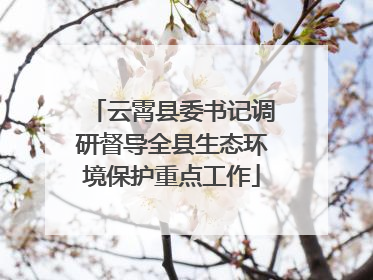 云霄县委书记调研督导全县生态环境保护重点工作