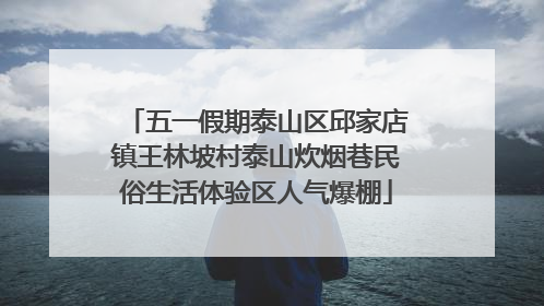 五一假期泰山区邱家店镇王林坡村泰山炊烟巷民俗生活体验区人气爆棚