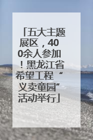 五大主题展区，400余人参加！黑龙江省希望工程“义卖童园”活动举行