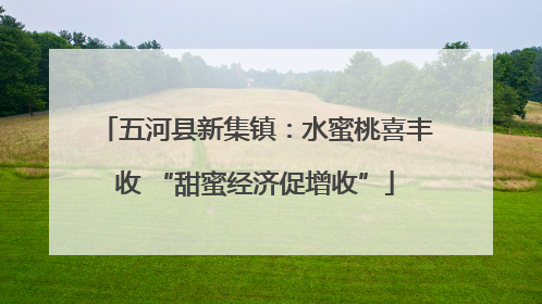 五河县新集镇：水蜜桃喜丰收 “甜蜜经济促增收”