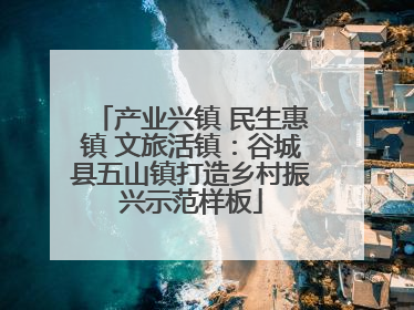 产业兴镇 民生惠镇 文旅活镇：谷城县五山镇打造乡村振兴示范样板
