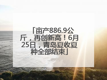 亩产886.9公斤，再创新高！6月25日，青岛夏收夏种全部结束