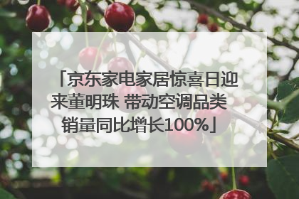 京东家电家居惊喜日迎来董明珠 带动空调品类销量同比增长100%