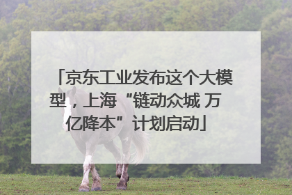 京东工业发布这个大模型，上海“链动众城 万亿降本”计划启动