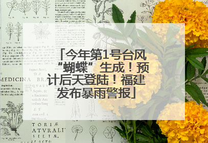 今年第1号台风“蝴蝶”生成！预计后天登陆！福建发布暴雨警报