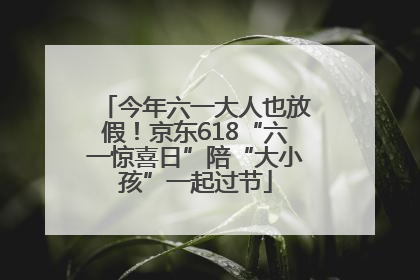 今年六一大人也放假！京东618“六一惊喜日”陪“大小孩”一起过节