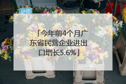 今年前4个月广东省民营企业进出口增长5.6%