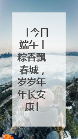 今日端午丨粽香飘春城，岁岁年年长安康
