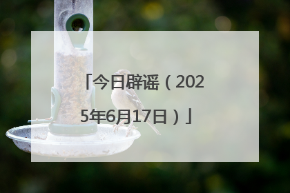 今日辟谣（2025年6月17日）