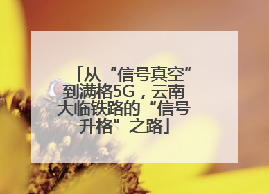 从“信号真空”到满格5G，云南大临铁路的“信号升格”之路