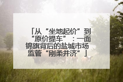 从“坐地起价”到“原价提车”：一面锦旗背后的盐城市场监管“刚柔并济”