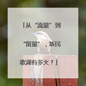 从“流量”到“留量”，新民歌湖有多火？
