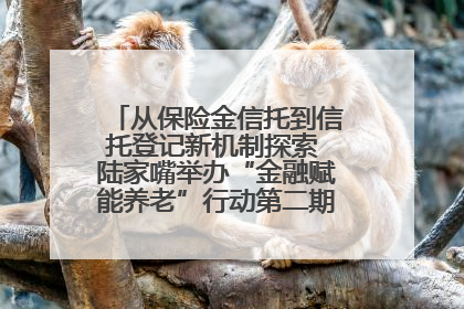 从保险金信托到信托登记新机制探索 陆家嘴举办“金融赋能养老”行动第二期行业交流会