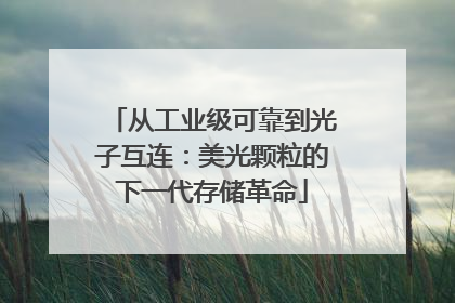 从工业级可靠到光子互连：美光颗粒的下一代存储革命