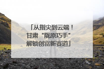 从指尖到云端！甘肃“陇原巧手”解锁创富新赛道