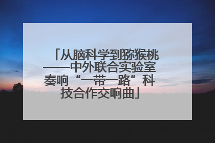 从脑科学到猕猴桃——中外联合实验室奏响“一带一路”科技合作交响曲