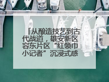 从酿造技艺到古代战道，雄安新区容东片区“红领巾小记者”沉浸式感受历史韵味