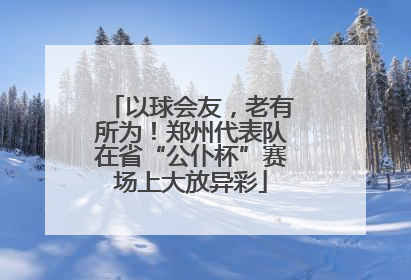 以球会友，老有所为！郑州代表队在省“公仆杯”赛场上大放异彩