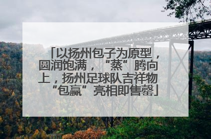 以扬州包子为原型，圆润饱满，“蒸”腾向上，扬州足球队吉祥物“包赢”亮相即售罄