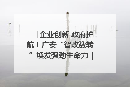 企业创新 政府护航！广安“智改数转”焕发强劲生命力｜市州焕新力