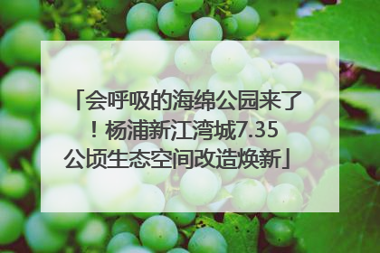会呼吸的海绵公园来了！杨浦新江湾城7.35公顷生态空间改造焕新