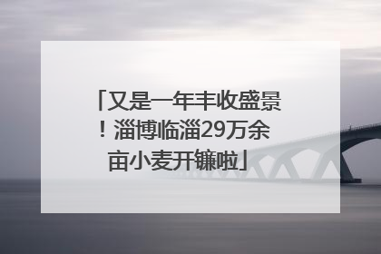 又是一年丰收盛景！淄博临淄29万余亩小麦开镰啦